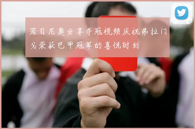 若日尼奥分享夺冠视频庆祝弗拉门戈荣获巴甲冠军的喜悦时刻