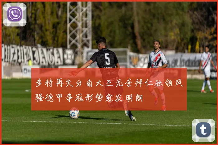 多特再失分南大王无奈拜仁独领风骚德甲争冠形势愈发明朗