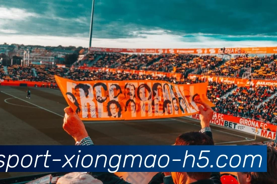 熊猫体育发展历程